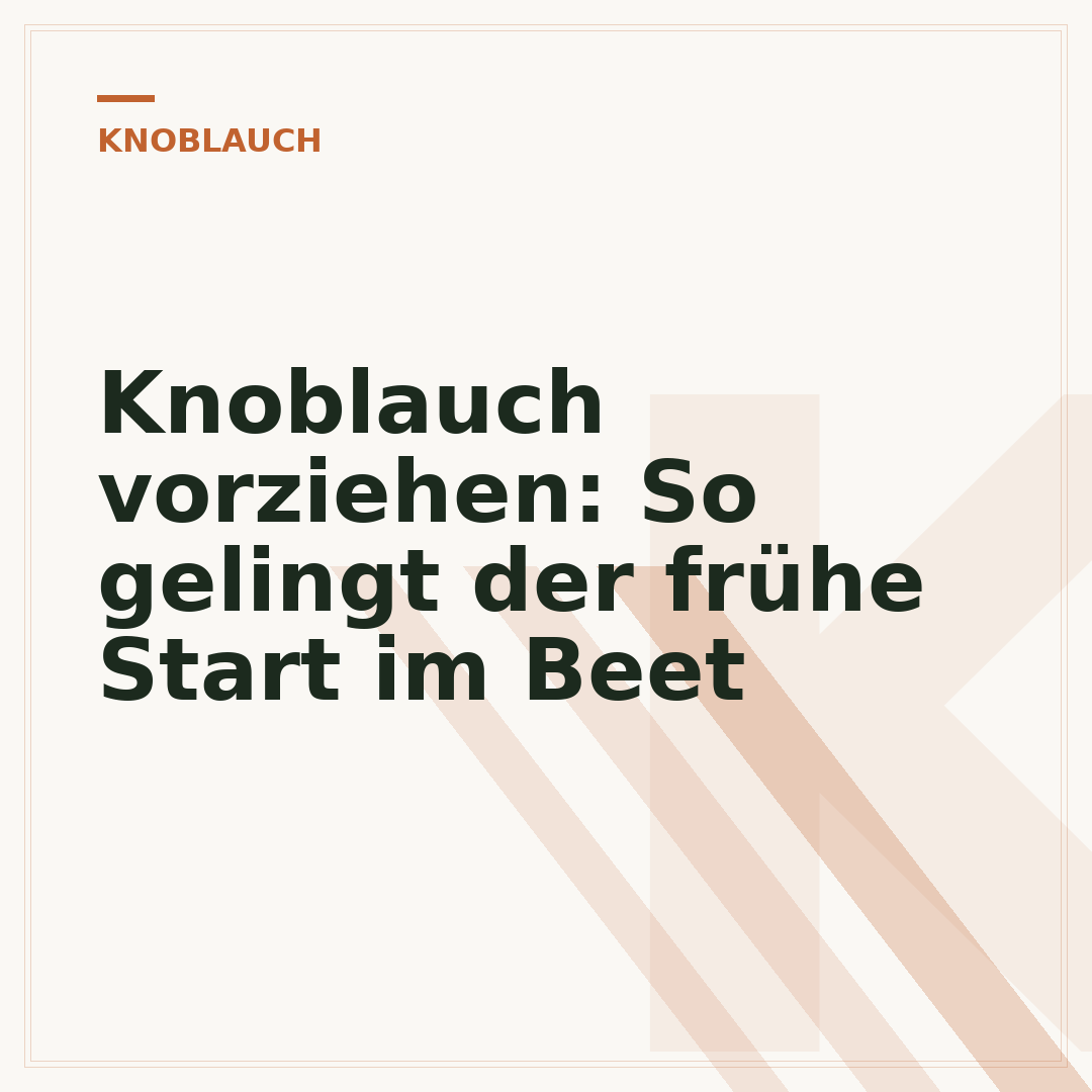 Knoblauch vorziehen: So gelingt der frühe Start im Beet