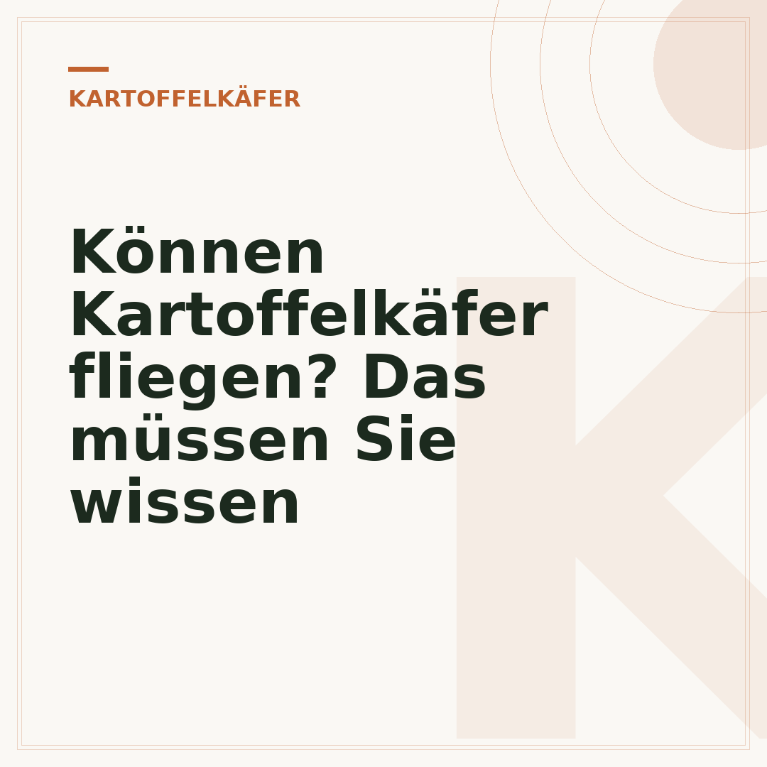 Können Kartoffelkäfer fliegen? Das müssen Sie wissen