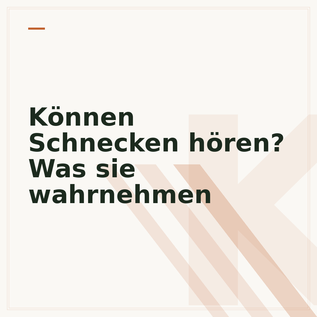 Können Schnecken hören? Was sie wahrnehmen