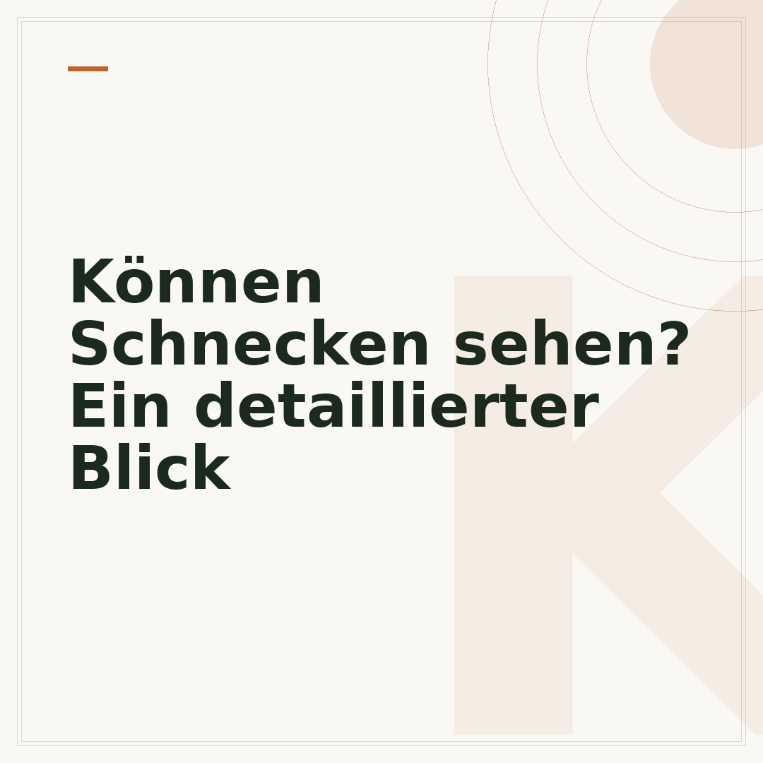 Können Schnecken sehen? Ein detaillierter Blick