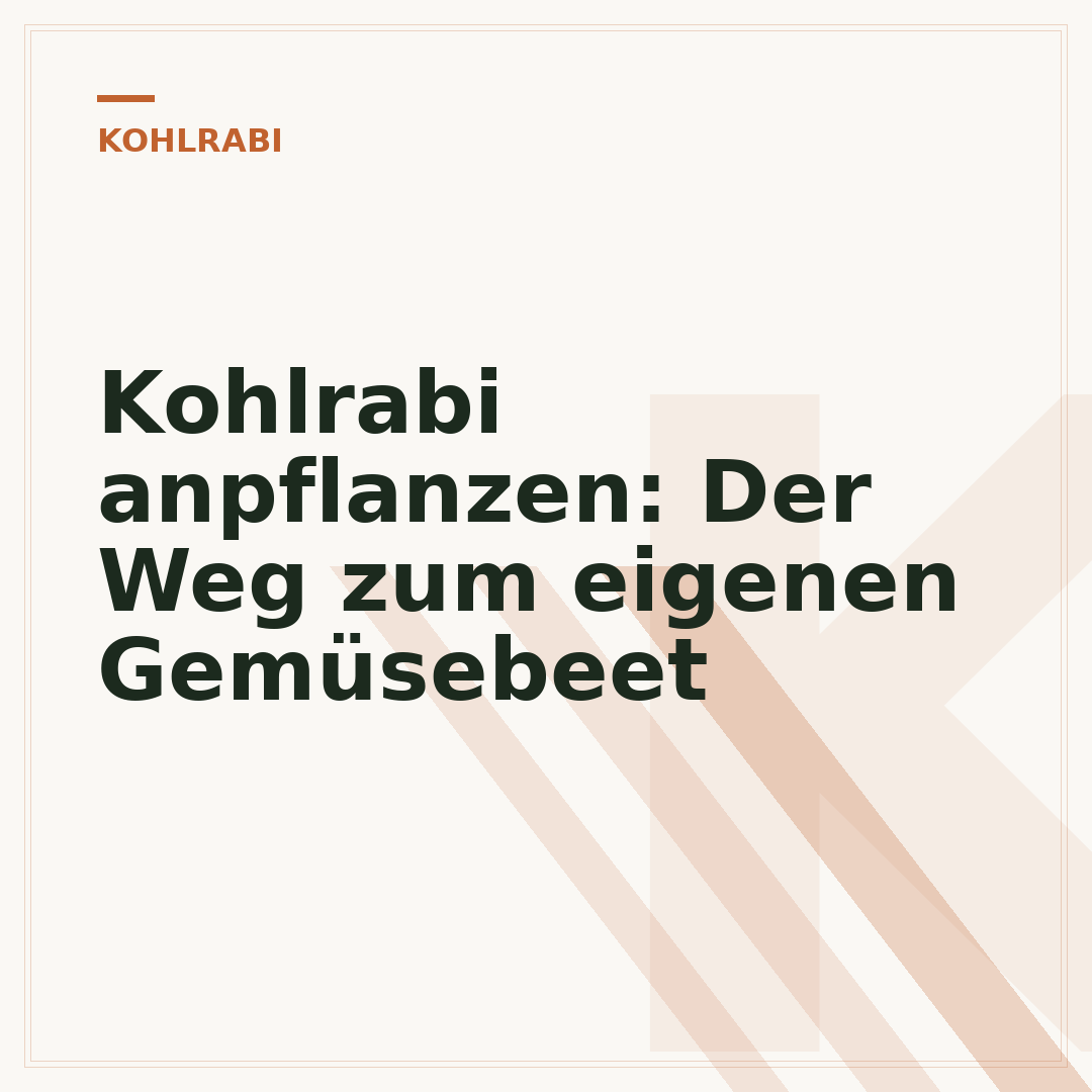 Kohlrabi anpflanzen: Der Weg zum eigenen Gemüsebeet