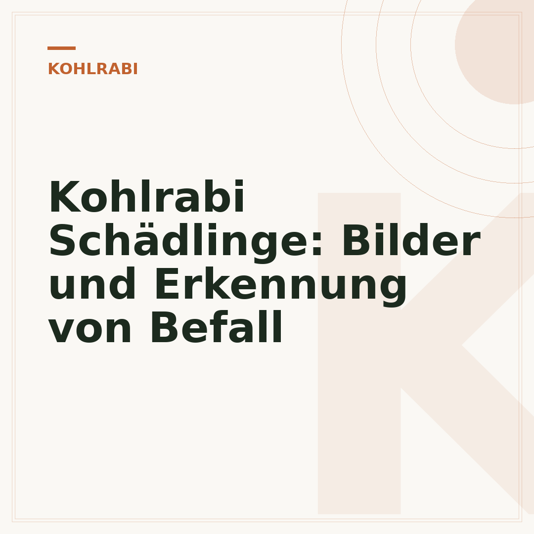 Kohlrabi Schädlinge: Bilder und Erkennung von Befall