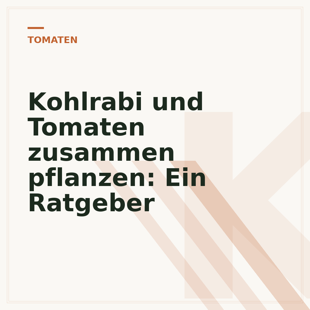 Kohlrabi und Tomaten zusammen pflanzen: Ein Ratgeber