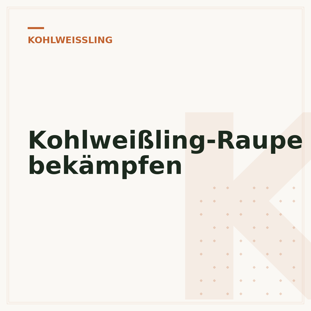 Kohlweißling-Raupe bekämpfen