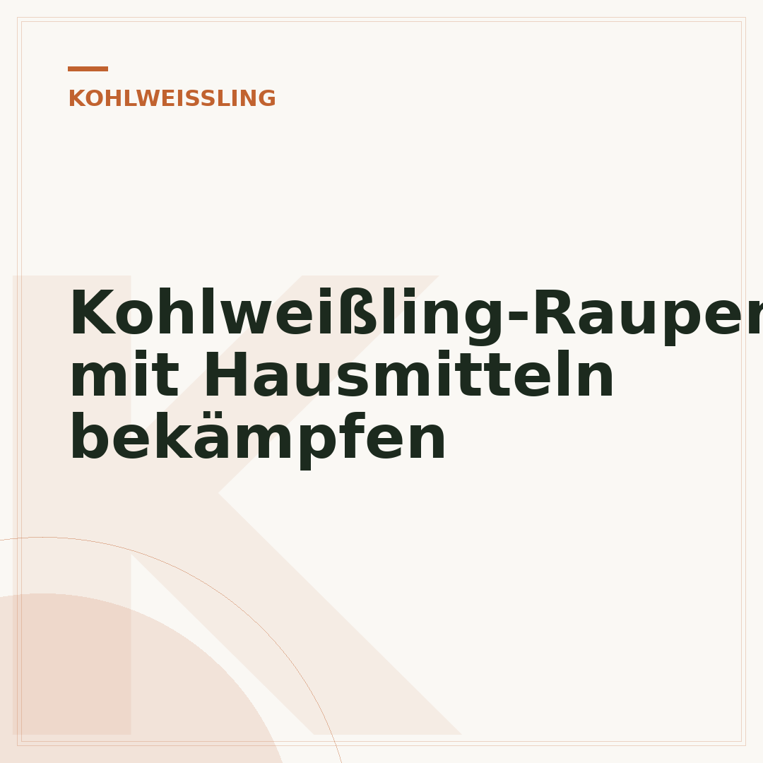 Kohlweißling-Raupen mit Hausmitteln bekämpfen