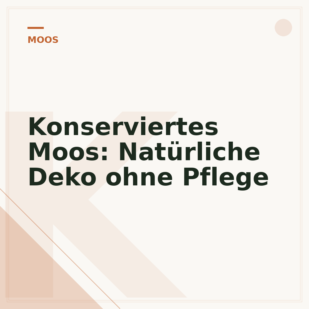 Konserviertes Moos: Natürliche Deko ohne Pflege