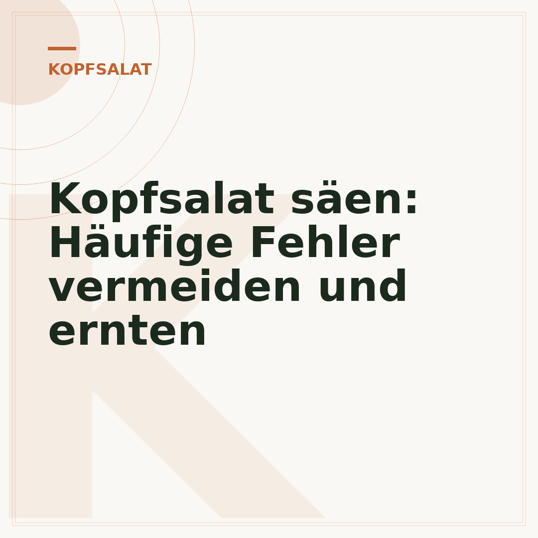 Kopfsalat säen: Häufige Fehler vermeiden und ernten