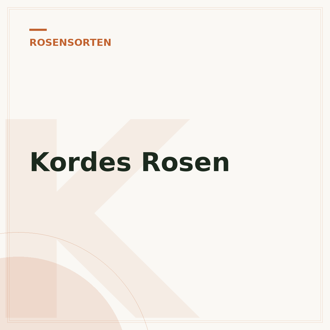 Kordes Rosen