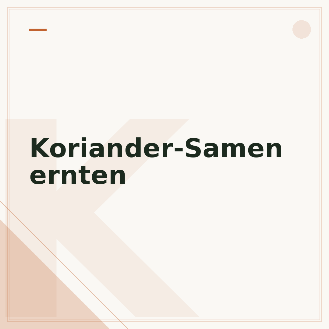Koriander-Samen ernten