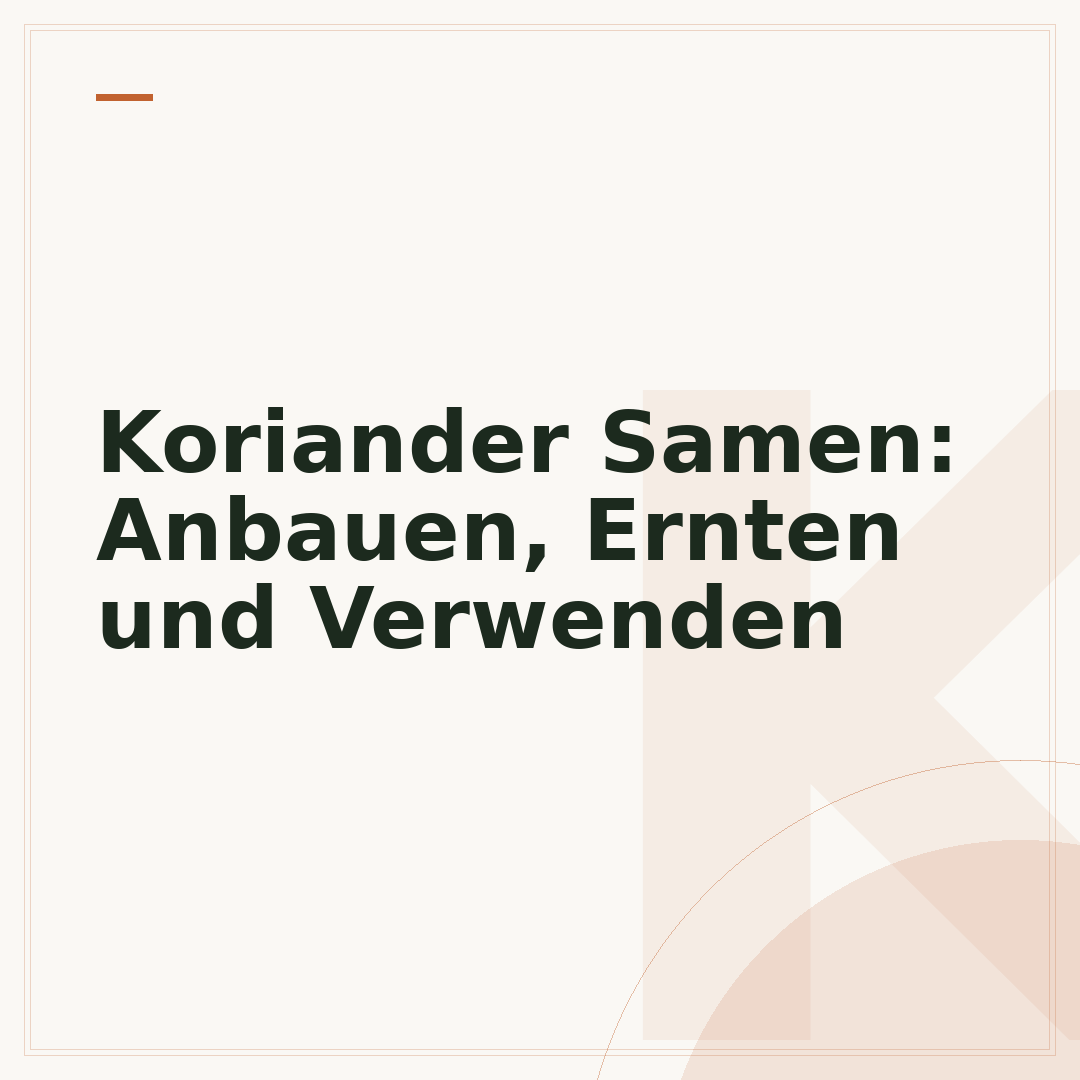 Koriander Samen: Anbauen, Ernten und Verwenden