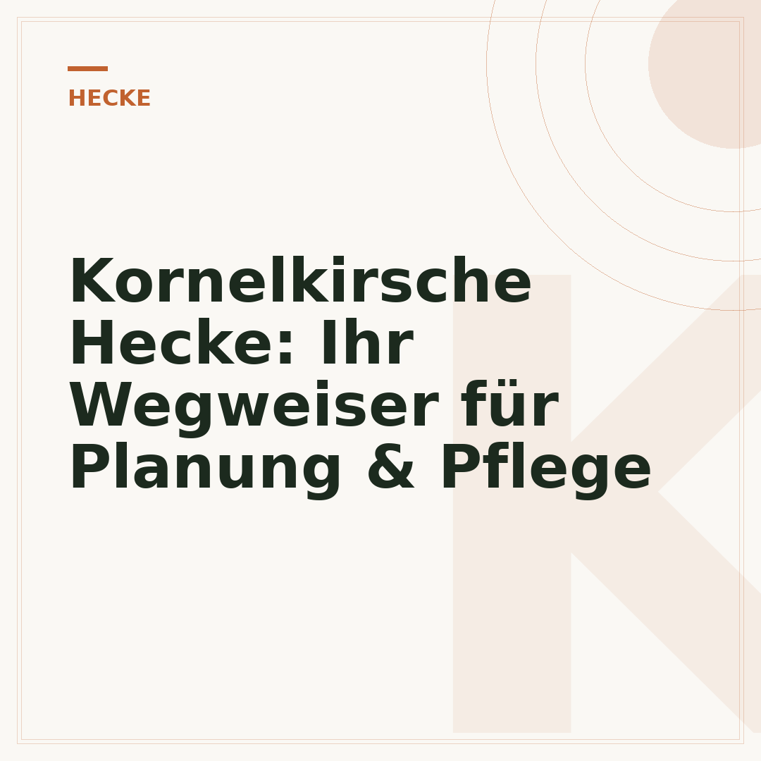 Kornelkirsche Hecke: Ihr Wegweiser für Planung & Pflege