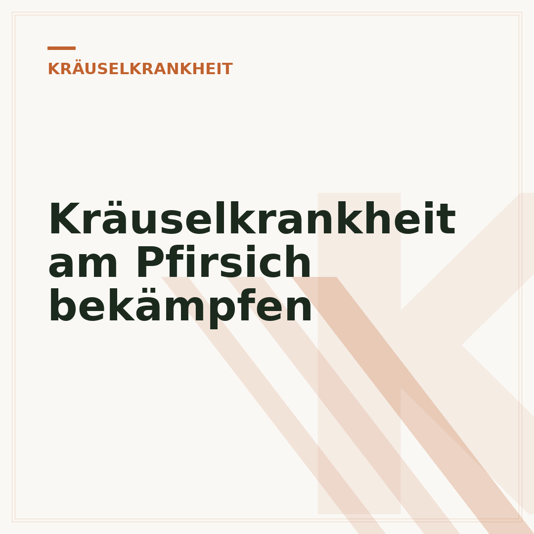 Kräuselkrankheit am Pfirsich bekämpfen