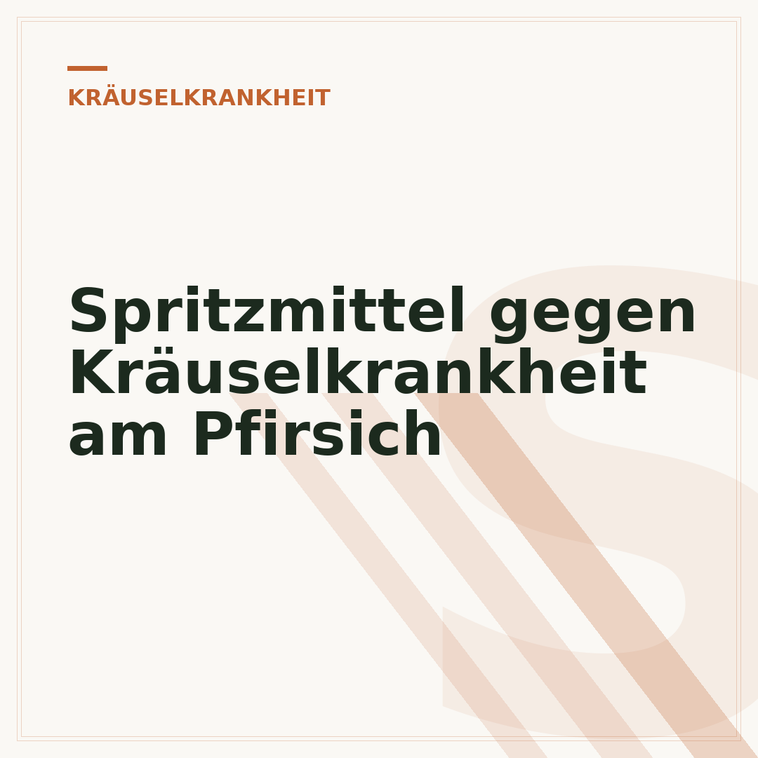 Spritzmittel gegen Kräuselkrankheit am Pfirsich