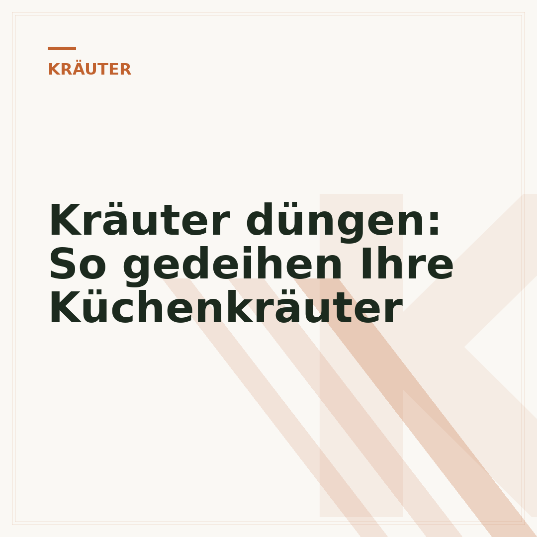 Kräuter düngen: So gedeihen Ihre Küchenkräuter