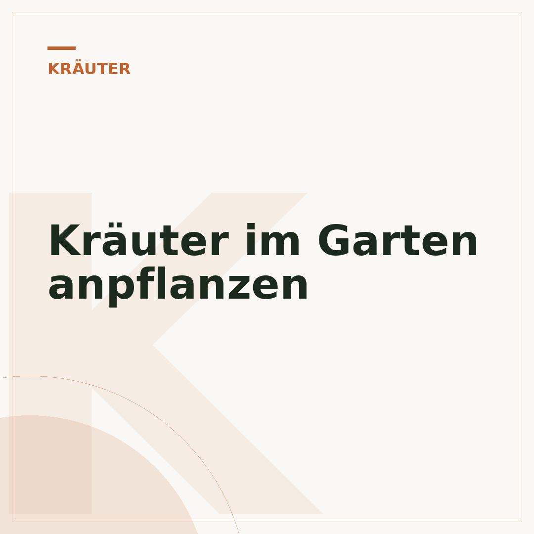 Kräuter im Garten anpflanzen