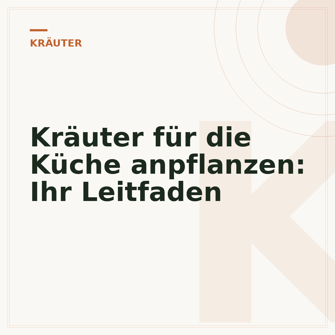 Kräuter für die Küche anpflanzen: Ihr Leitfaden