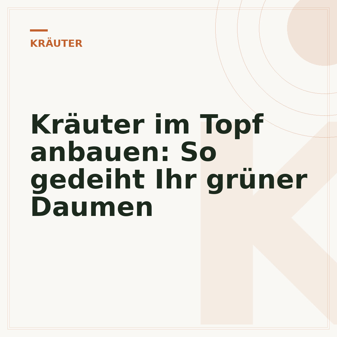 Kräuter im Topf anbauen: So gedeiht Ihr grüner Daumen