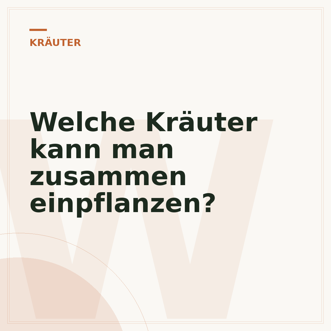 Welche Kräuter kann man zusammen einpflanzen?