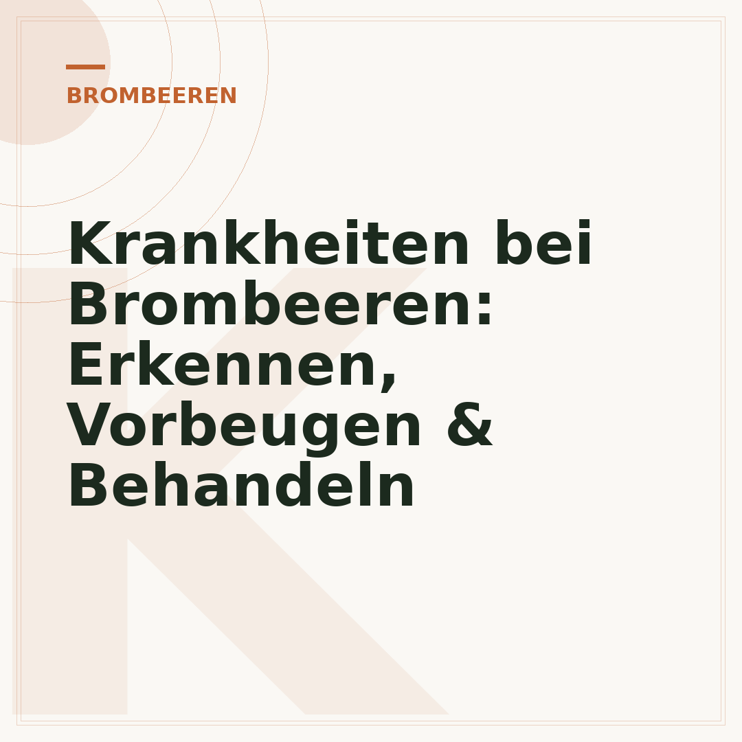 Krankheiten bei Brombeeren: Erkennen, Vorbeugen & Behandeln