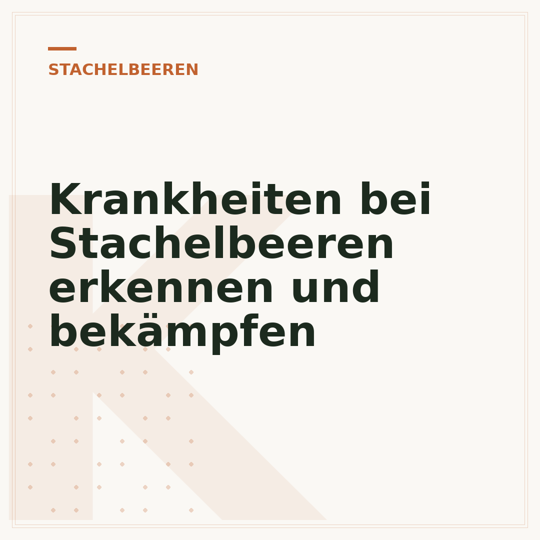 Krankheiten bei Stachelbeeren erkennen und bekämpfen