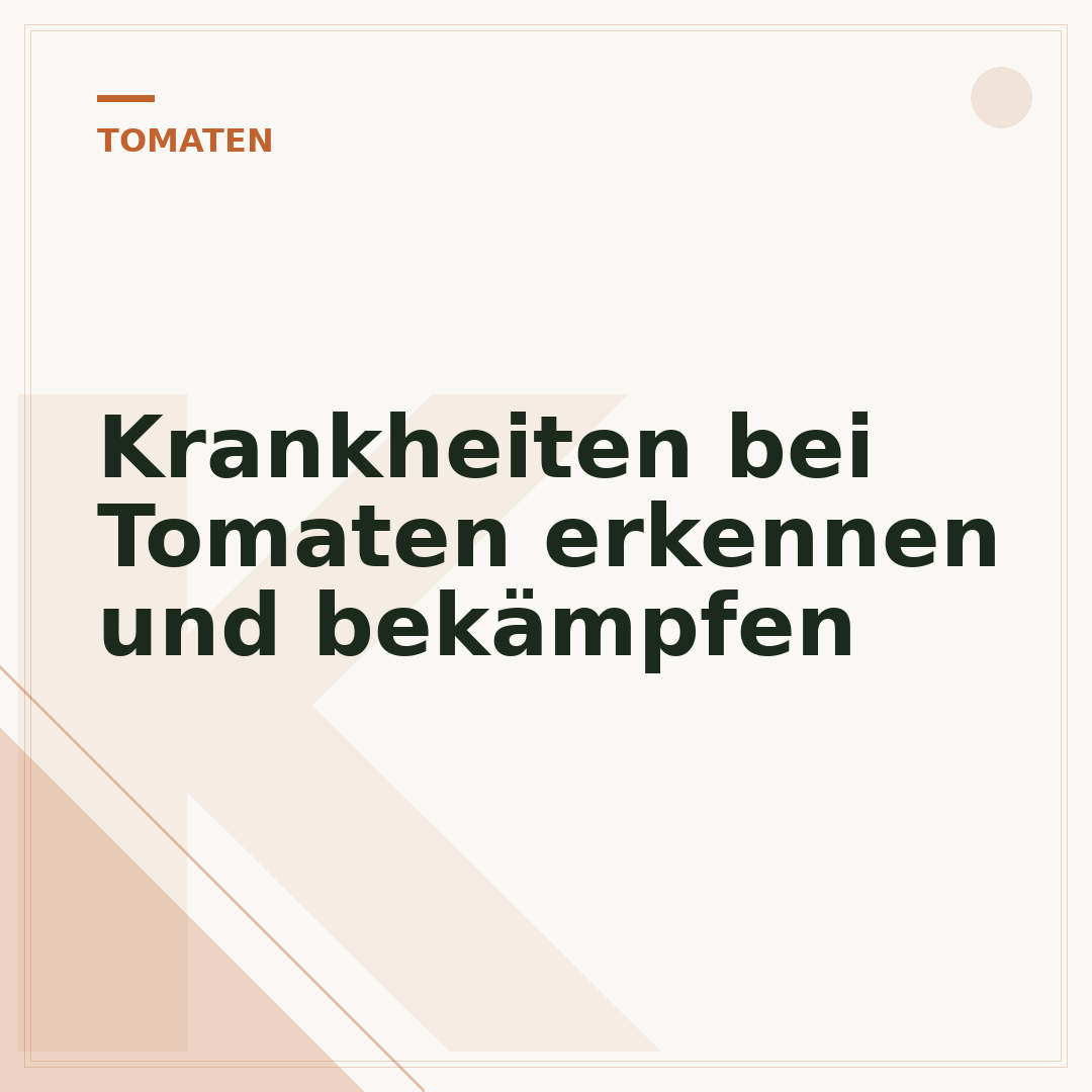Krankheiten bei Tomaten erkennen und bekämpfen