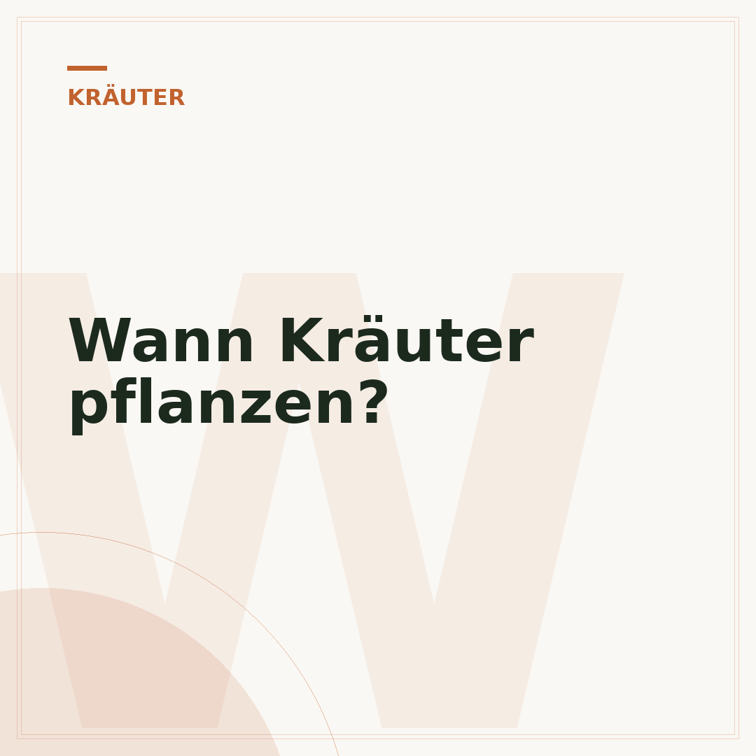 Wann Kräuter pflanzen?