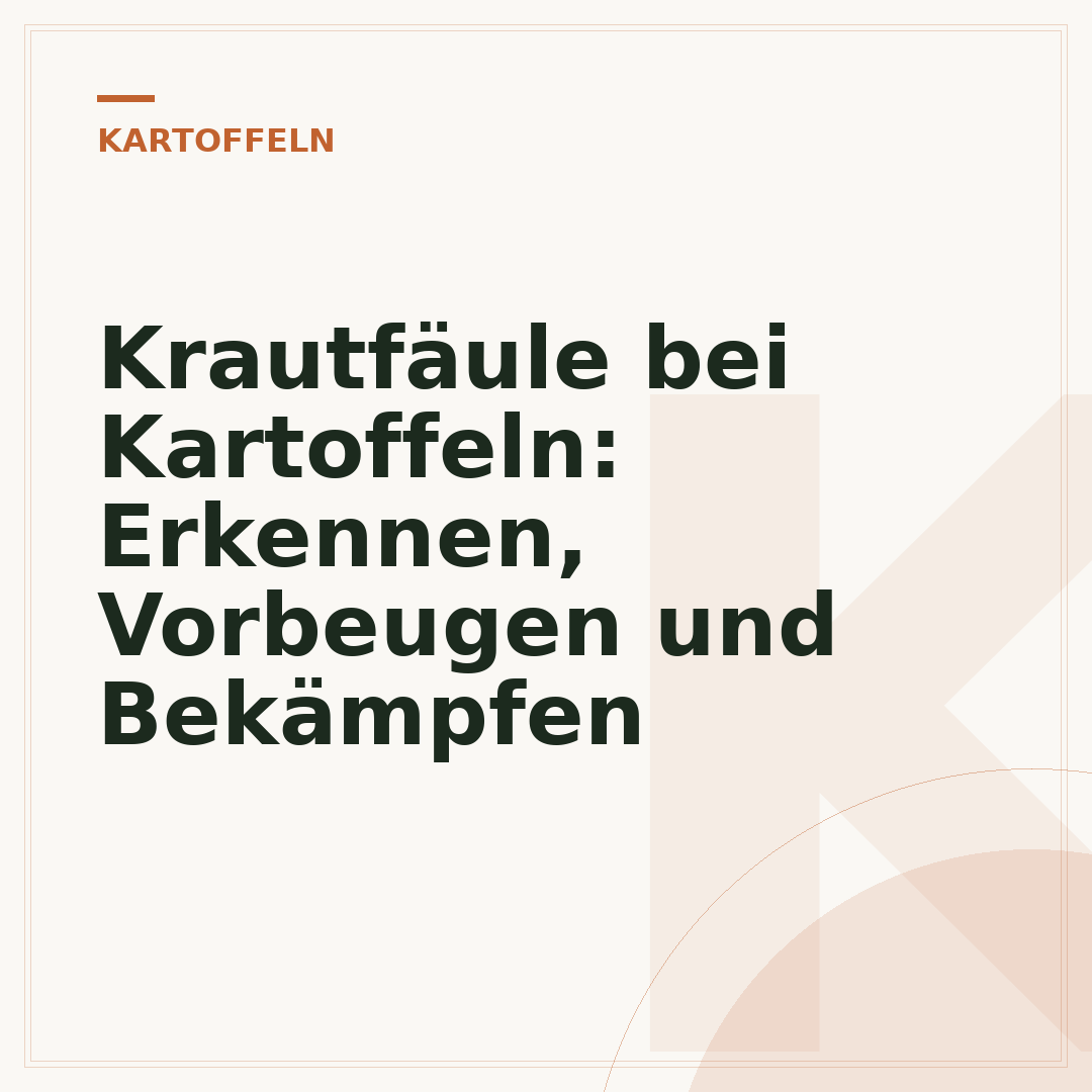 Krautfäule bei Kartoffeln: Erkennen, Vorbeugen und Bekämpfen