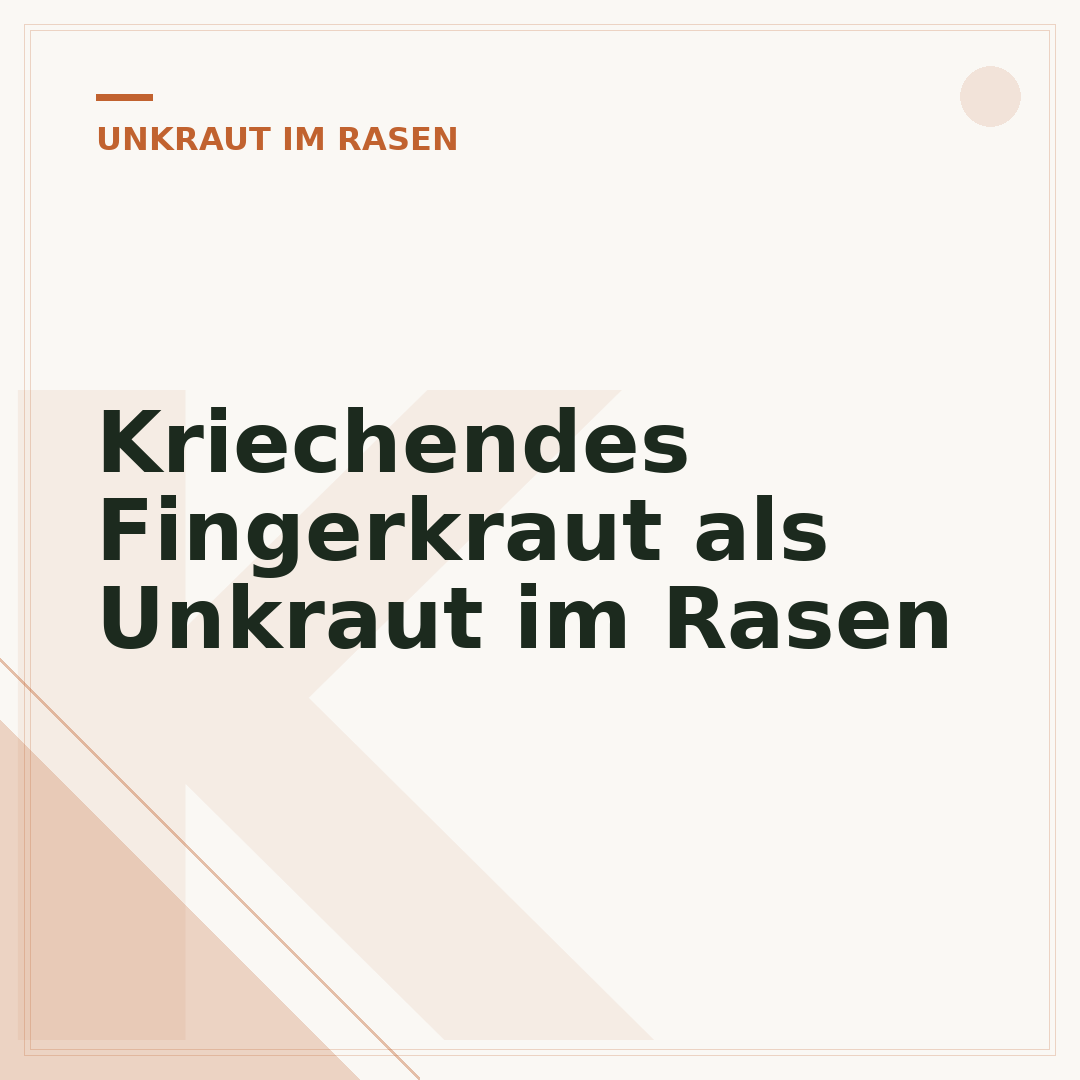 Kriechendes Fingerkraut als Unkraut im Rasen