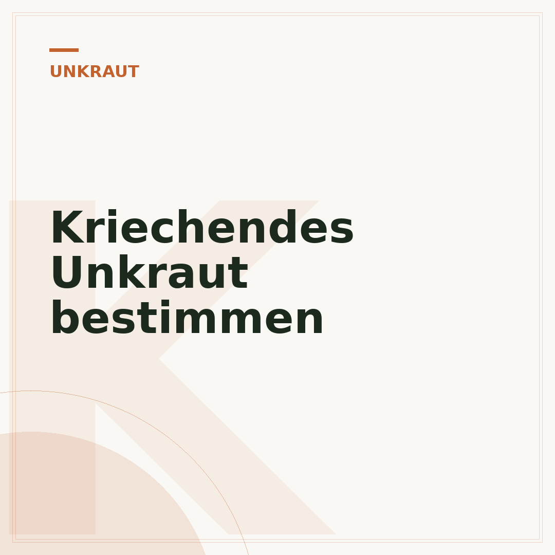 Kriechendes Unkraut bestimmen