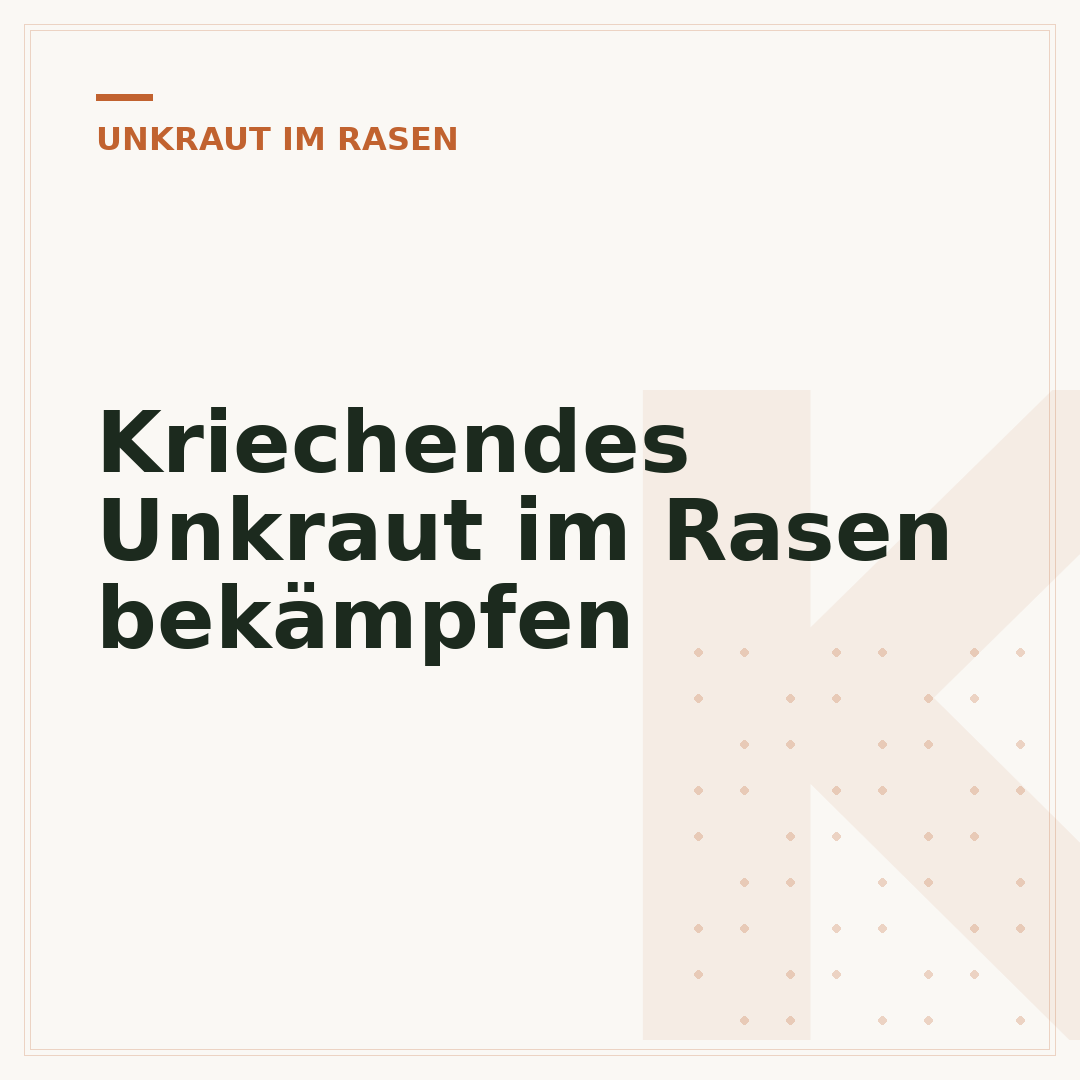 Kriechendes Unkraut im Rasen bekämpfen