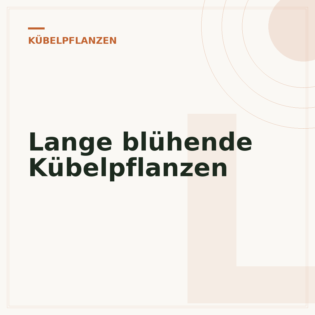 Lange blühende Kübelpflanzen