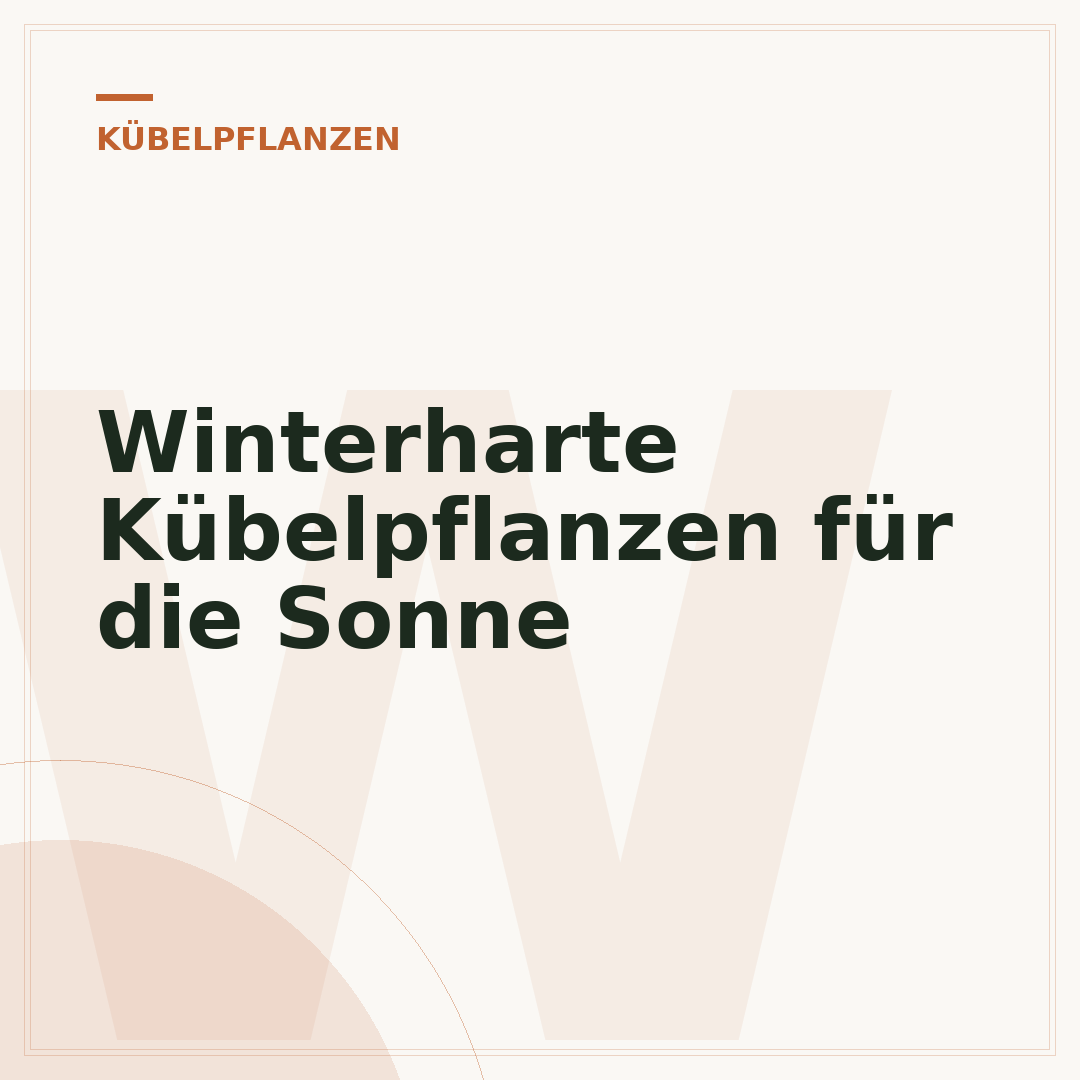 Winterharte Kübelpflanzen für die Sonne