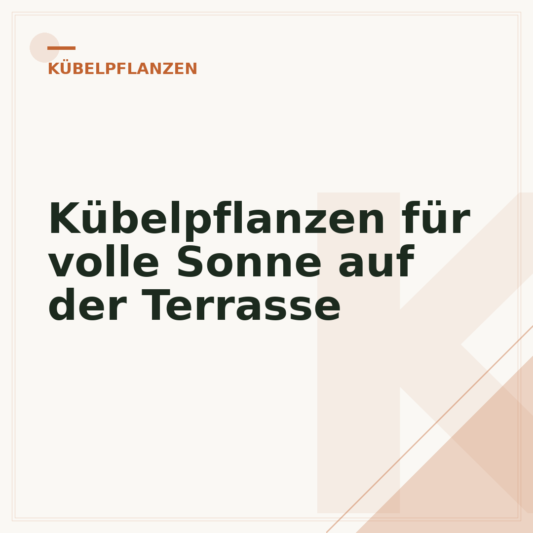 Kübelpflanzen für volle Sonne auf der Terrasse