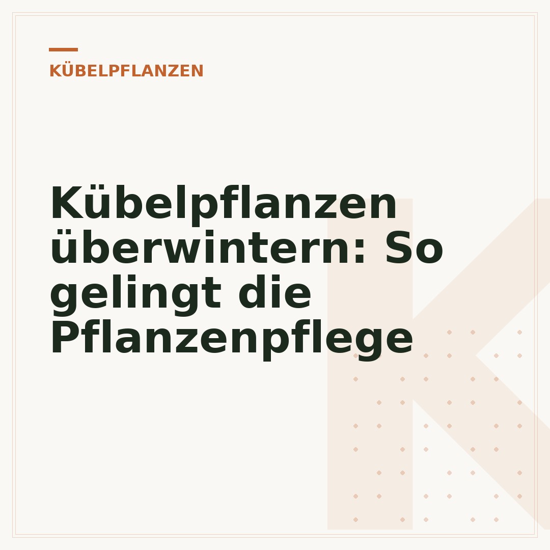 Kübelpflanzen überwintern: So gelingt die Pflanzenpflege