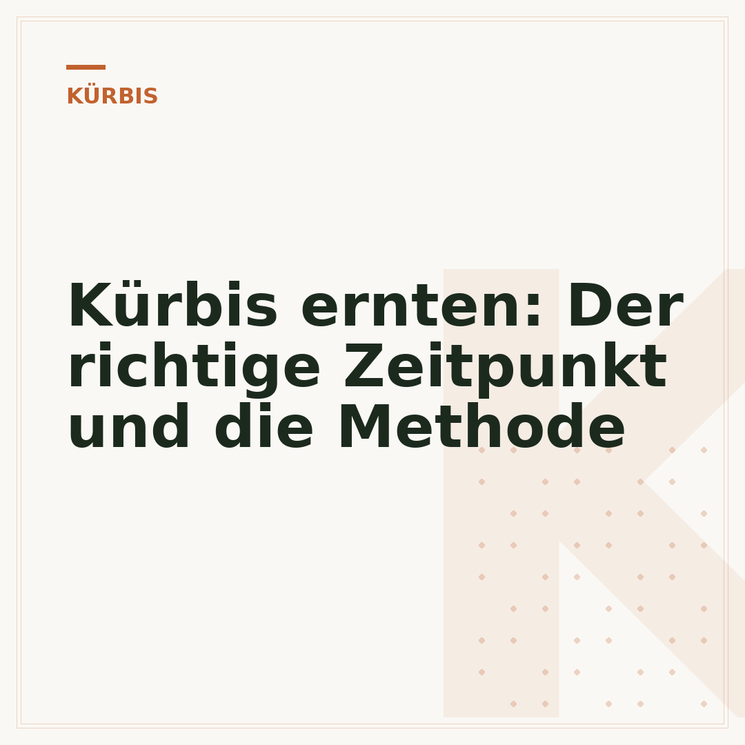 Kürbis ernten: Der richtige Zeitpunkt und die Methode