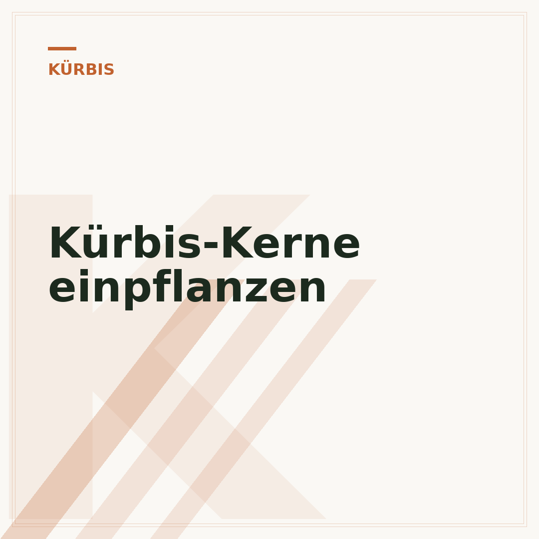 Kürbis-Kerne einpflanzen