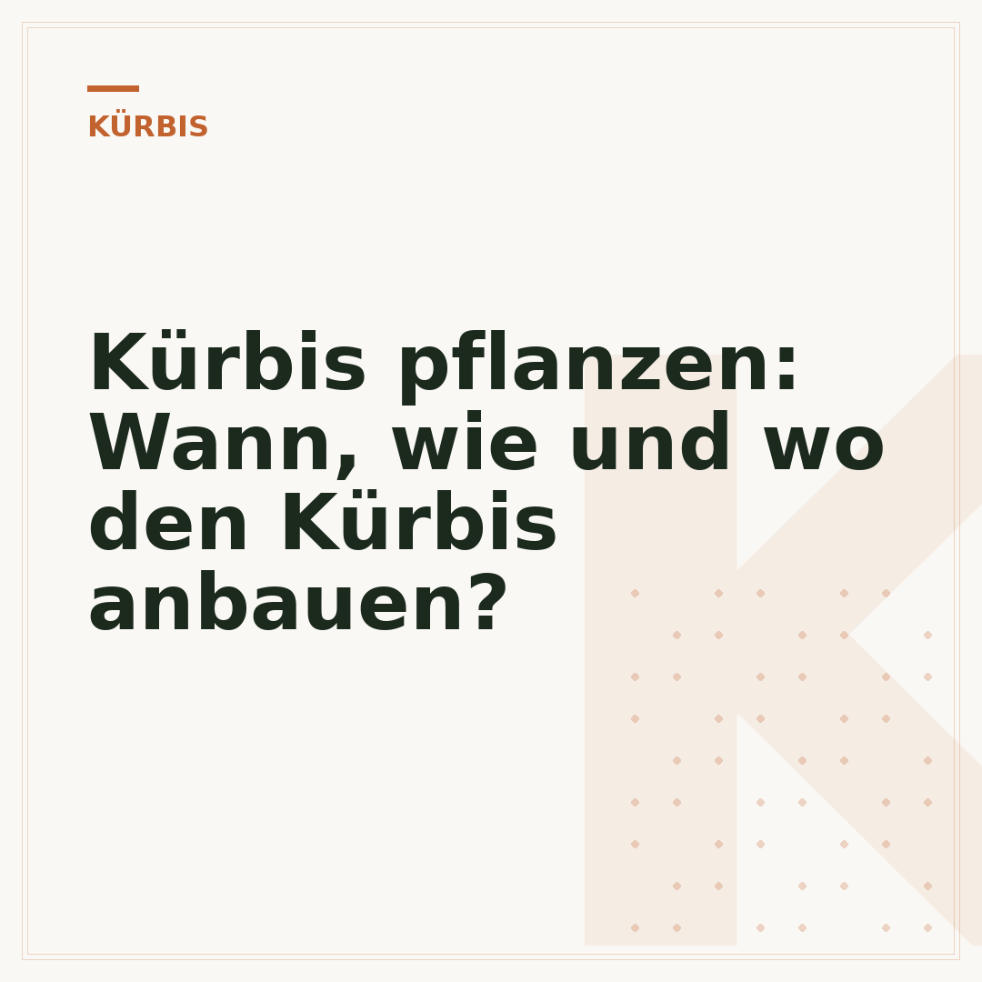 Kürbis pflanzen: Wann, wie und wo den Kürbis anbauen?
