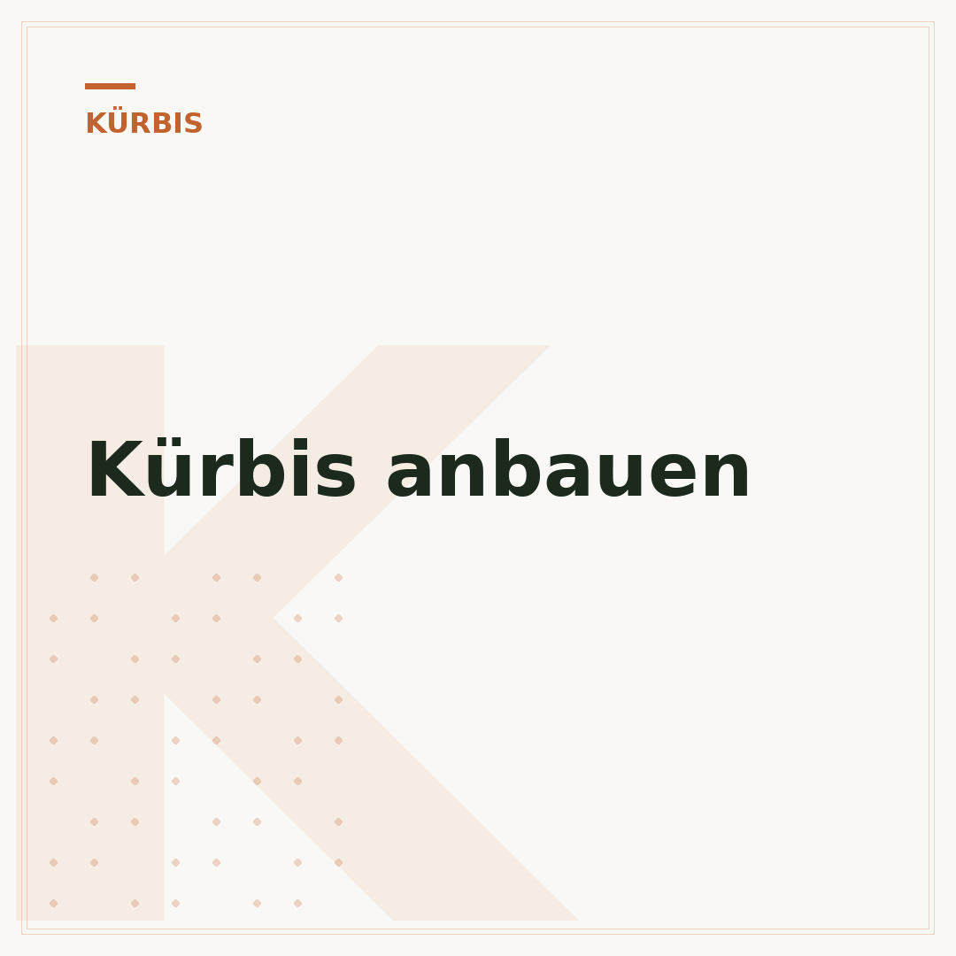 Kürbis anbauen
