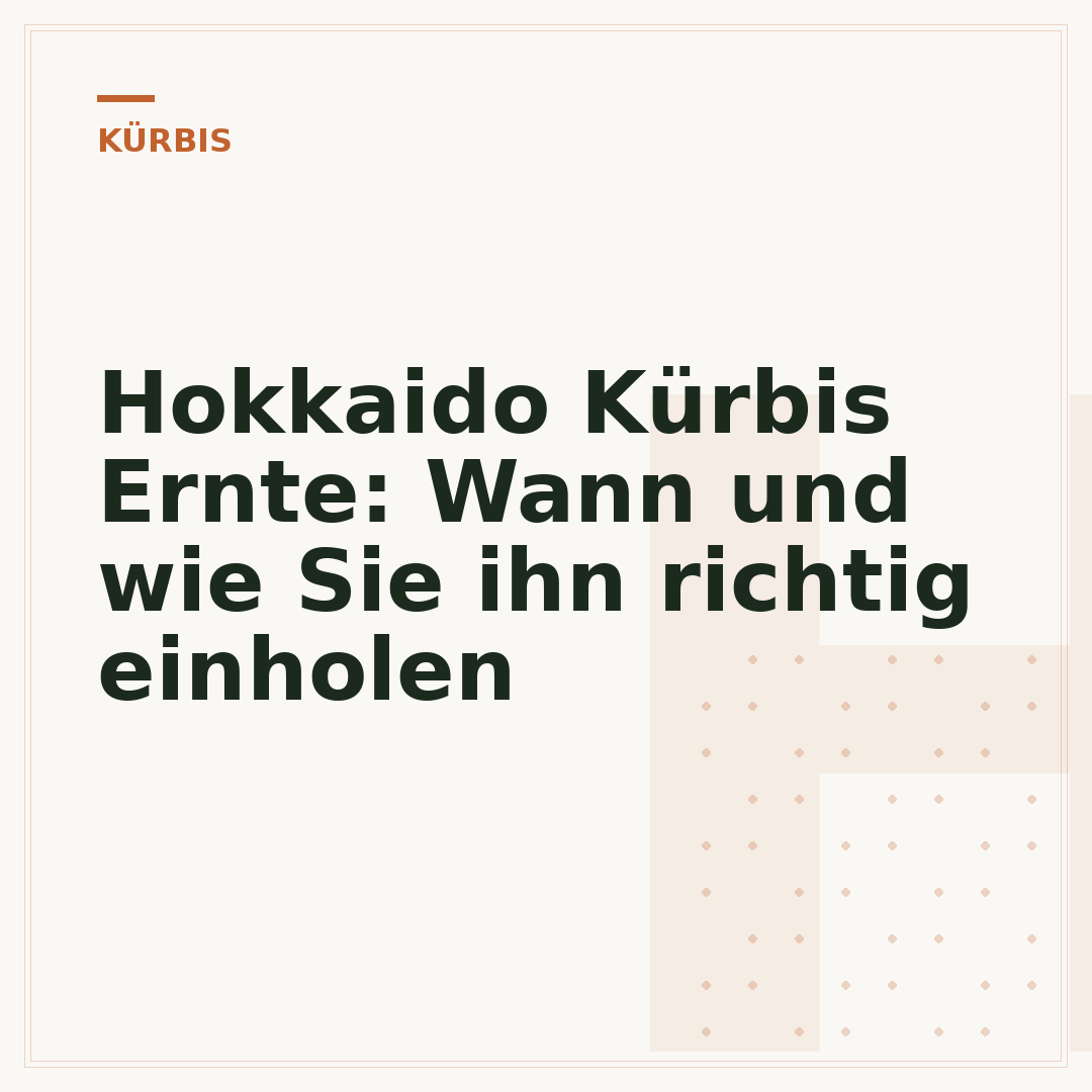 Hokkaido Kürbis Ernte: Wann und wie Sie ihn richtig einholen