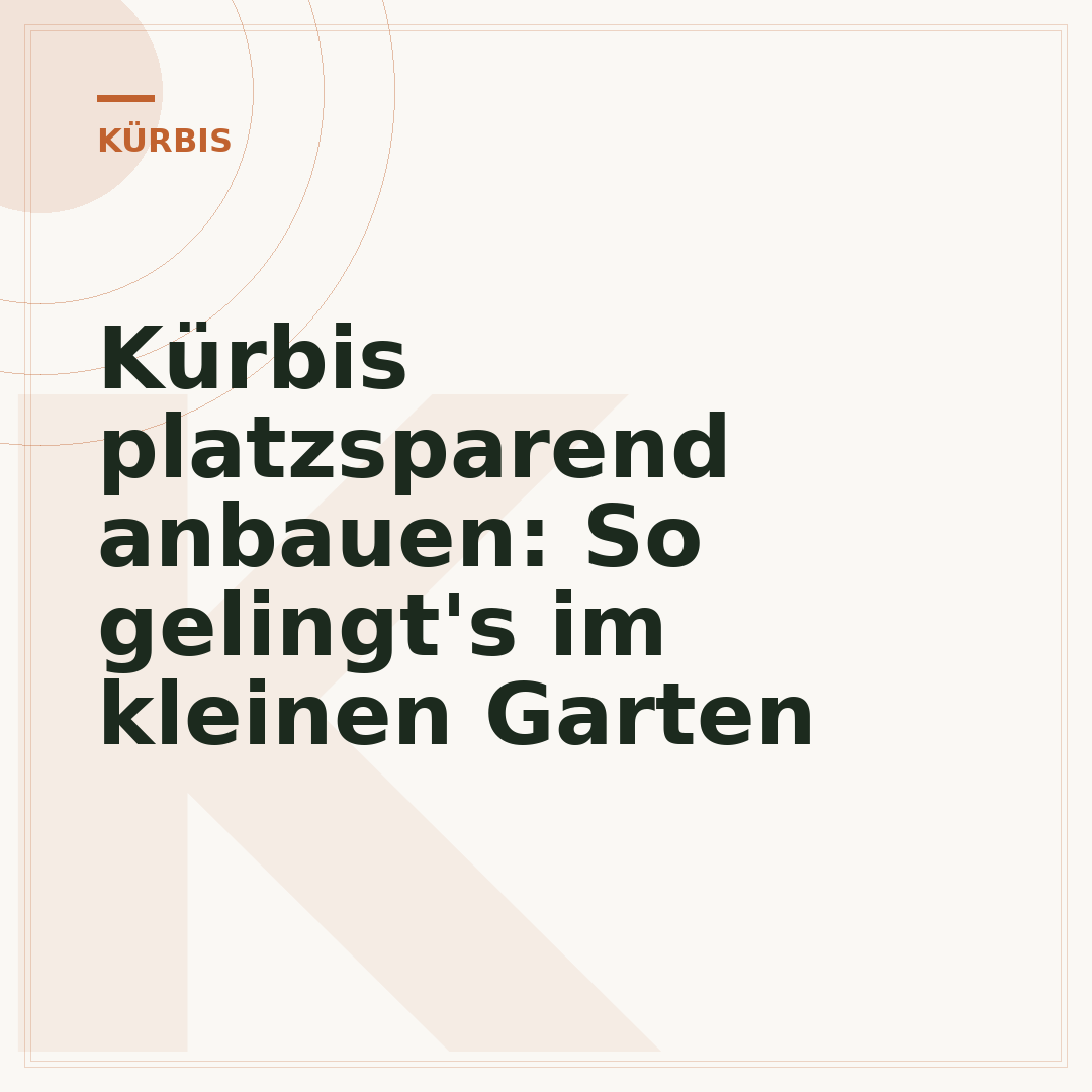 Kürbis platzsparend anbauen: So gelingt's im kleinen Garten