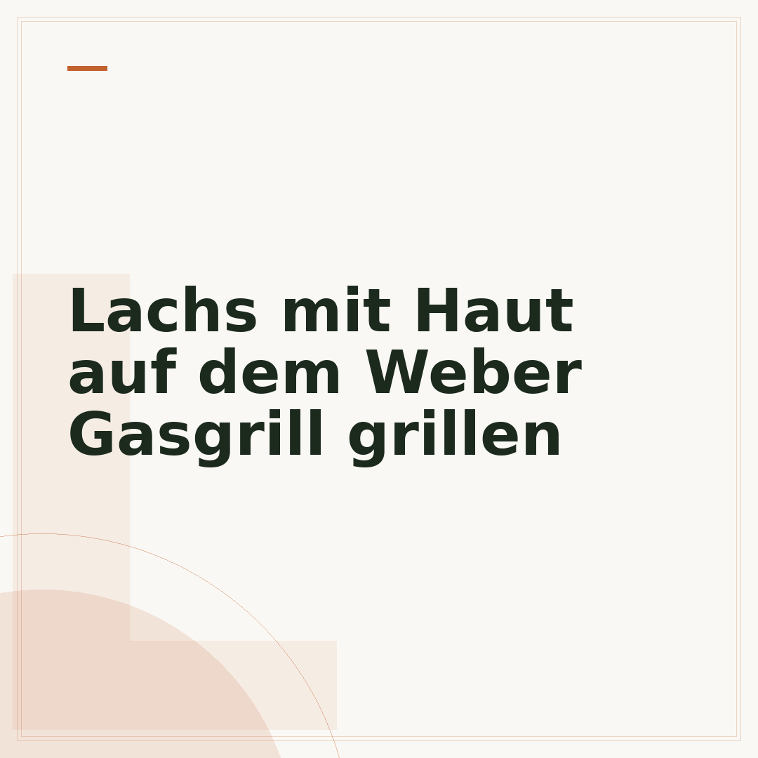 Lachs mit Haut auf dem Weber Gasgrill grillen