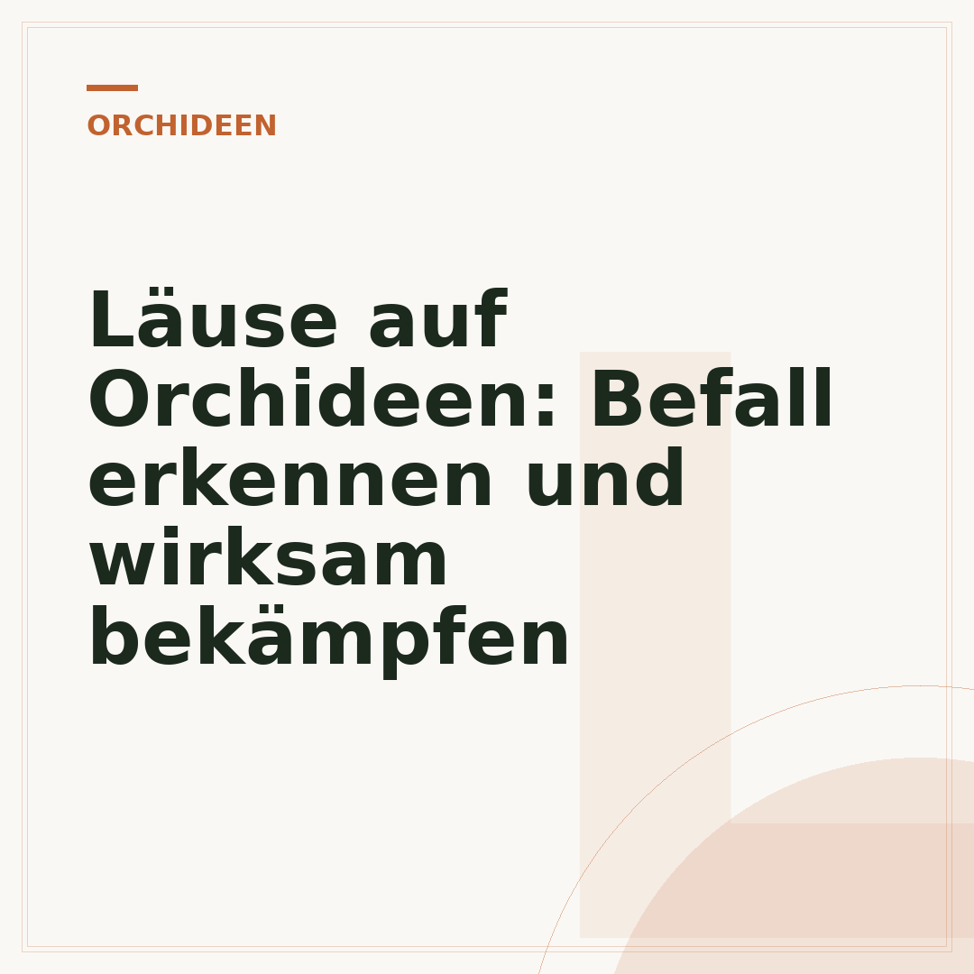 Läuse auf Orchideen: Befall erkennen und wirksam bekämpfen