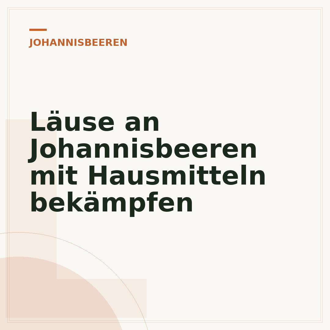 Läuse an Johannisbeeren mit Hausmitteln bekämpfen