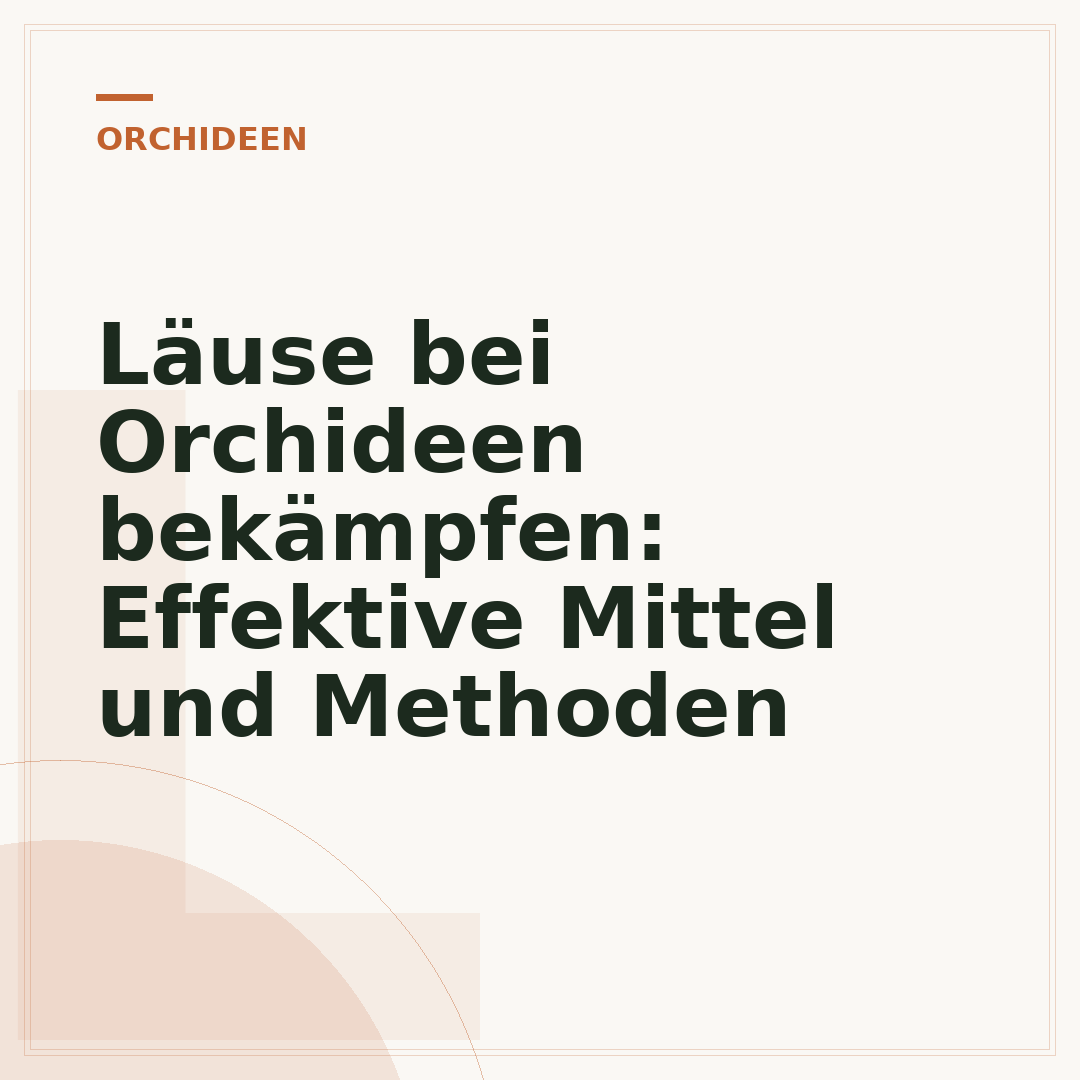 Läuse bei Orchideen bekämpfen: Effektive Mittel und Methoden