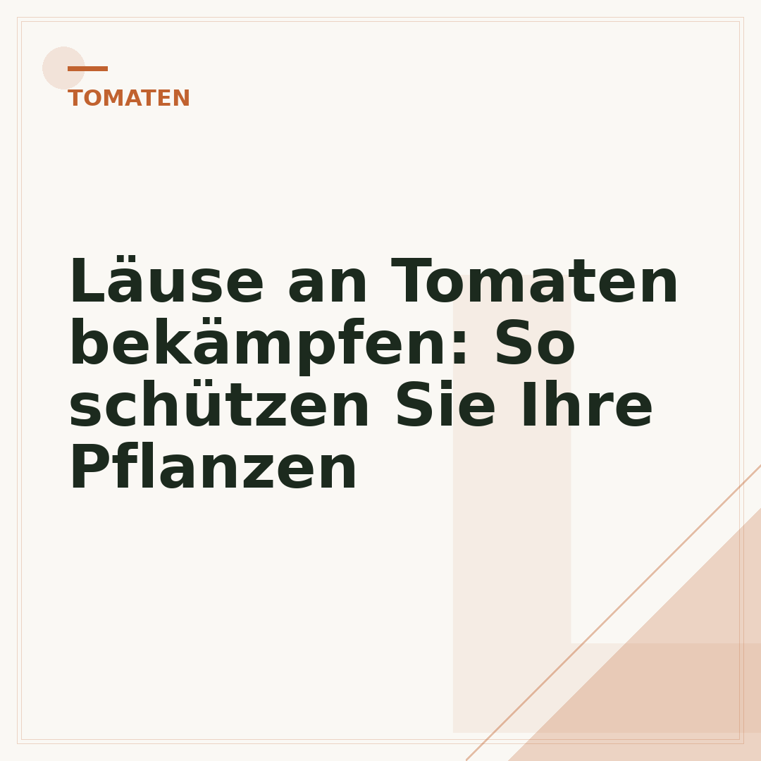 Läuse an Tomaten bekämpfen: So schützen Sie Ihre Pflanzen