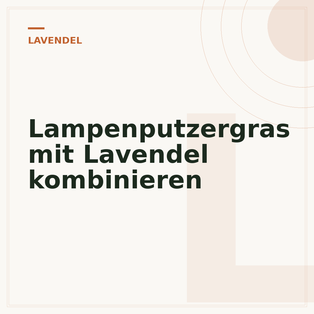 Lampenputzergras mit Lavendel kombinieren