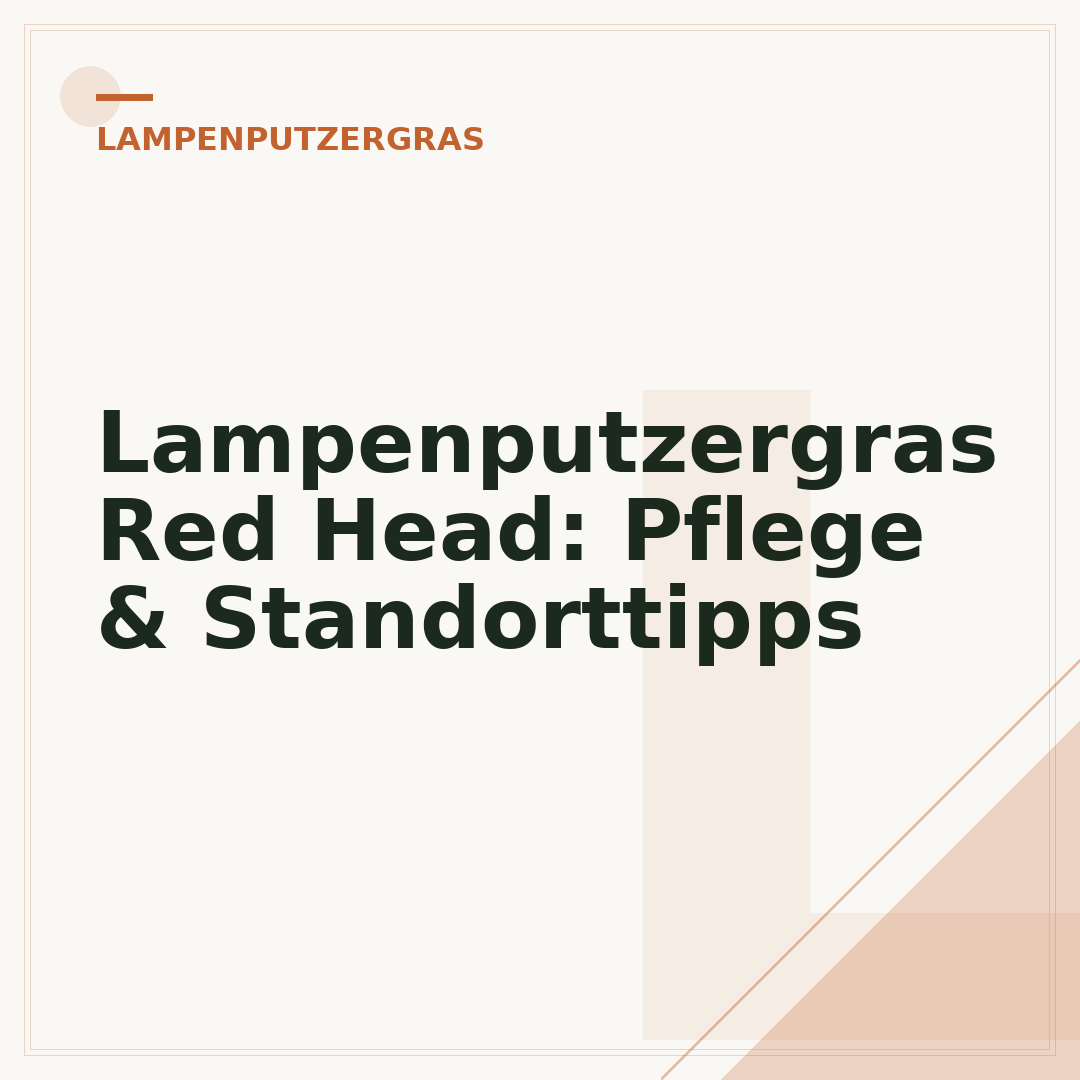 Lampenputzergras Red Head: Pflege & Standorttipps