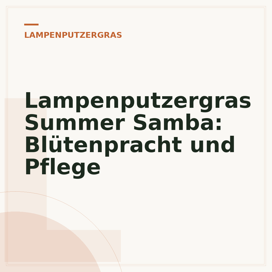 Lampenputzergras Summer Samba: Blütenpracht und Pflege