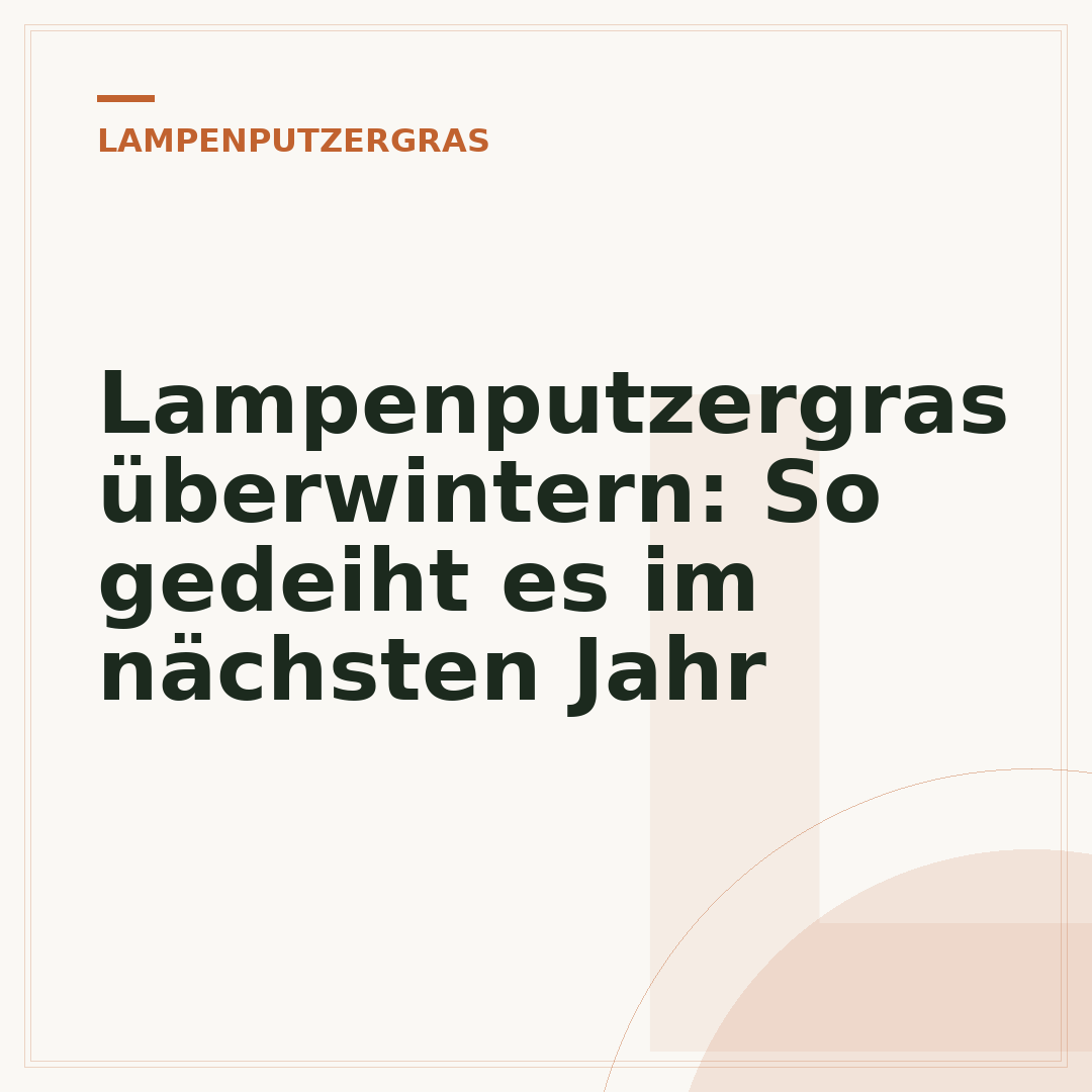 Lampenputzergras überwintern: So gedeiht es im nächsten Jahr