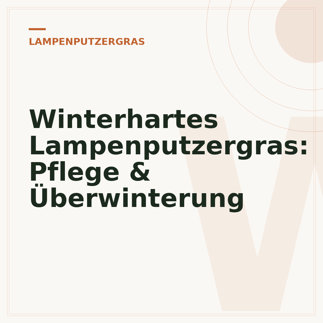 Winterhartes Lampenputzergras: Pflege & Überwinterung
